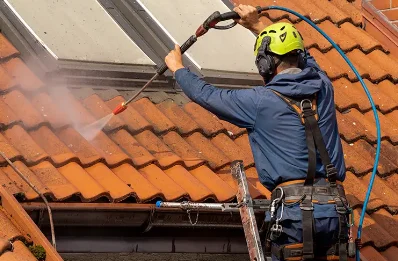Démoussage et hydrofuge de toiture à Eymouthiers